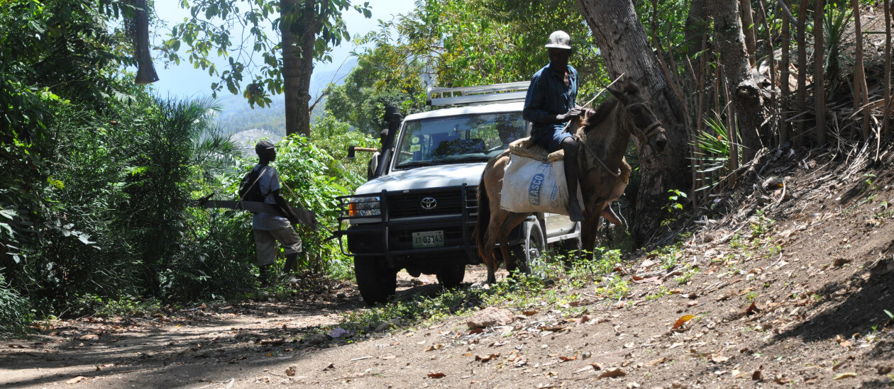 A person is riding a donkey with bags on a dirt track, while another is walking nearby. A white pick-up truck can be seen in the background between the trees and foliage.